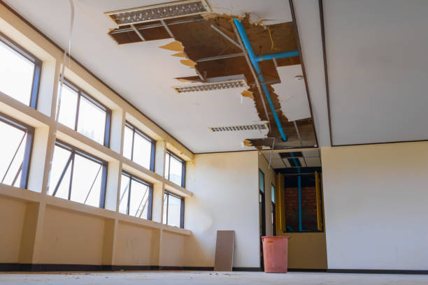 Best Fire Damage Restoration  in Patterson Tract, CA