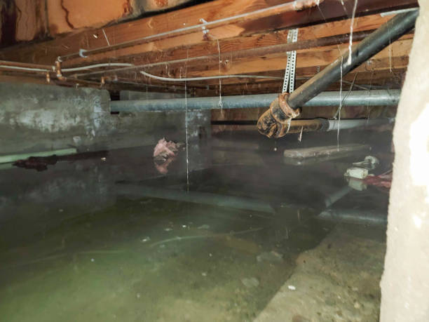 Best 24-hour water damage restoration  in Patterson Tract, CA