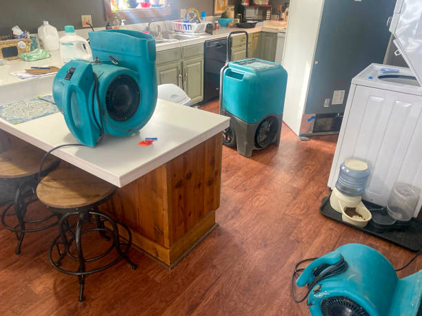Best Water damage cleanup near me  in Patterson Tract, CA