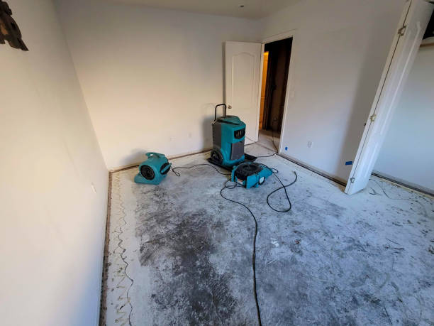 Best Ceiling water damage repair  in Patterson Tract, CA