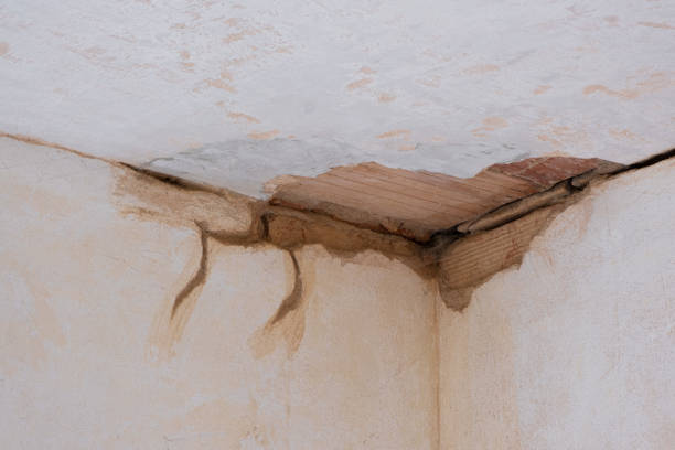 Best Carpet water damage restoration  in Patterson Tract, CA