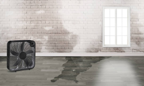 Best 24/7 water damage repair  in Patterson Tract, CA