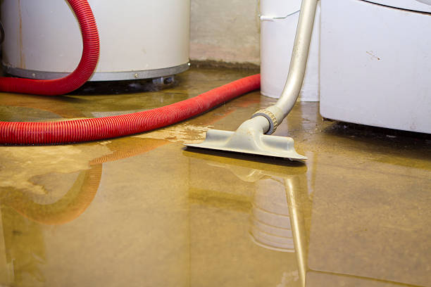 Best Local water damage restoration  in Patterson Tract, CA