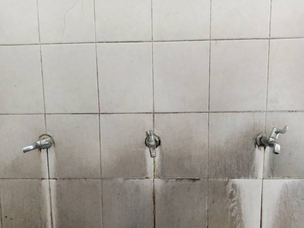 Best Flood restoration services  in Patterson Tract, CA